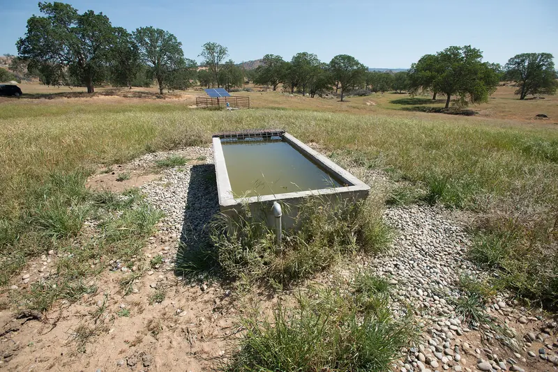 A concrete stock trough full of water on a ranch, with a solar-powered well pump panel in the distance.